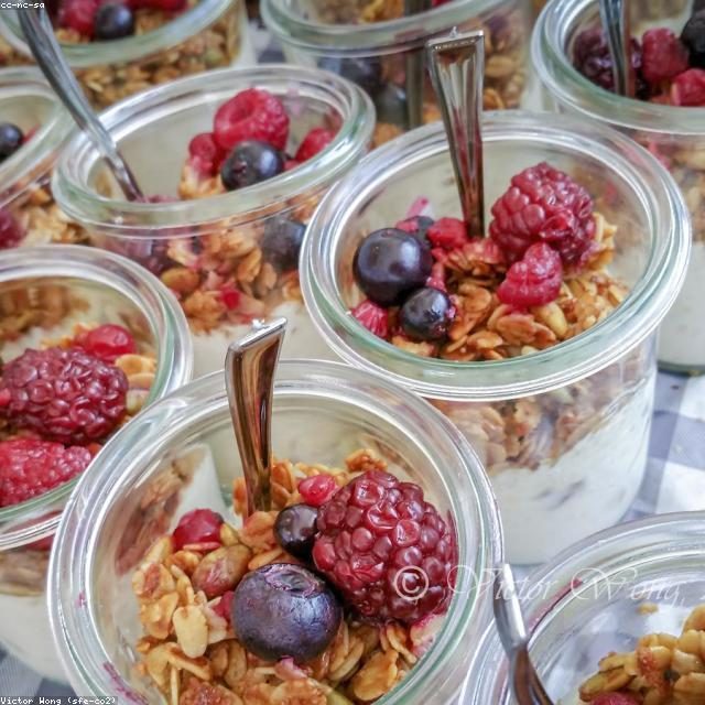Organska zelena salata