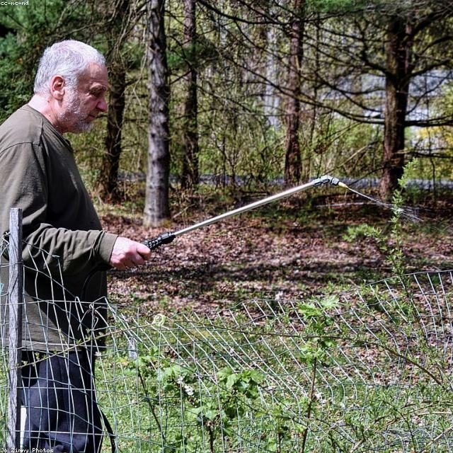 Prirodna zaštita za paradajz